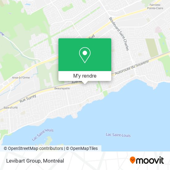 Levibart Group plan
