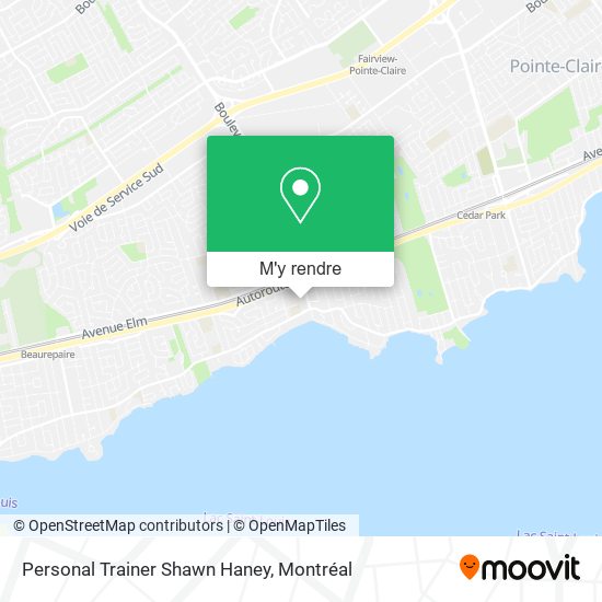 Personal Trainer Shawn Haney plan