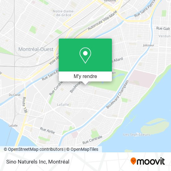 Sino Naturels Inc plan