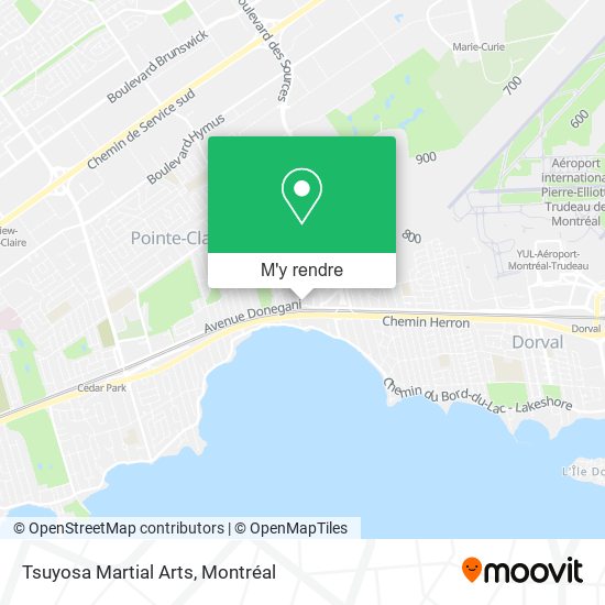 Tsuyosa Martial Arts plan