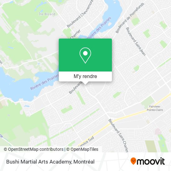 Bushi Martial Arts Academy plan