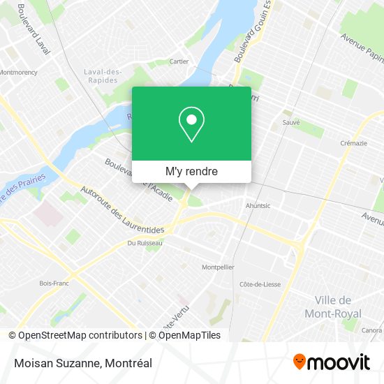 Moisan Suzanne plan