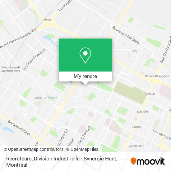 Recruteurs, Division Industrielle - Synergie Hunt plan