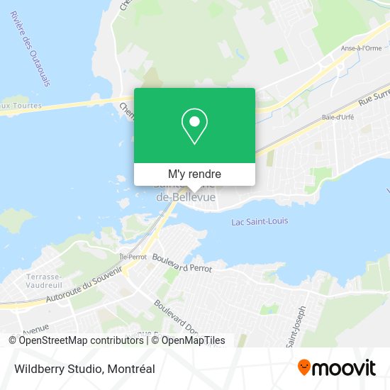 Wildberry Studio plan