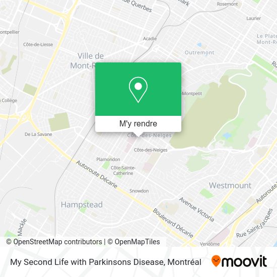 My Second Life with Parkinsons Disease plan