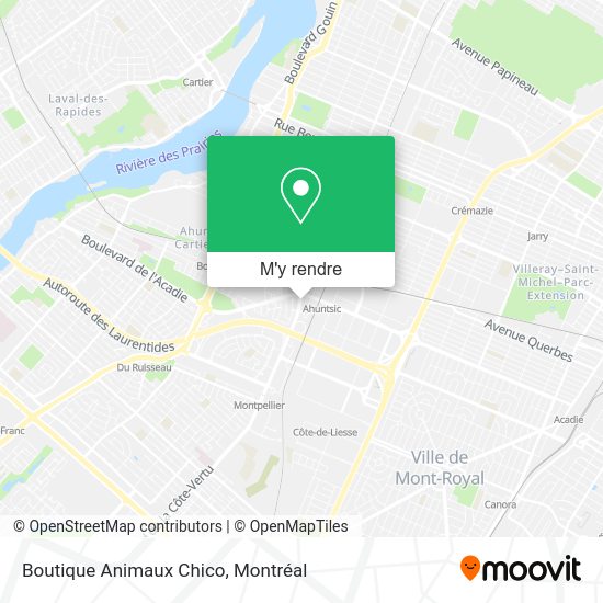 Boutique Animaux Chico plan