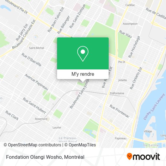 Fondation Olangi Wosho plan
