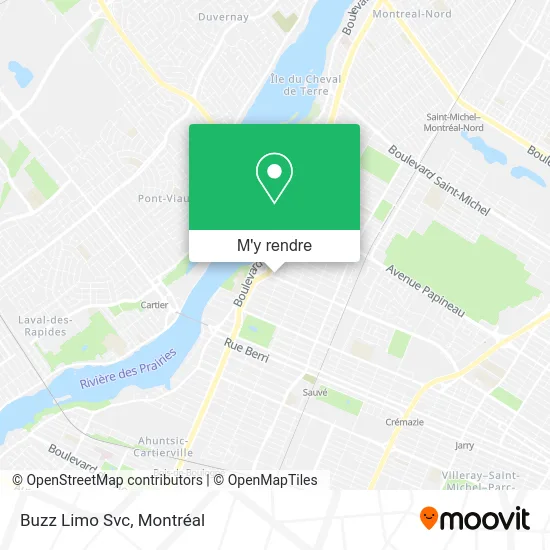 Buzz Limo Svc plan