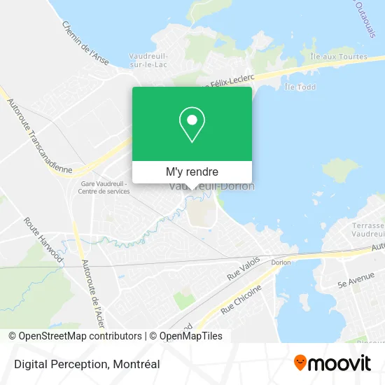 Digital Perception plan