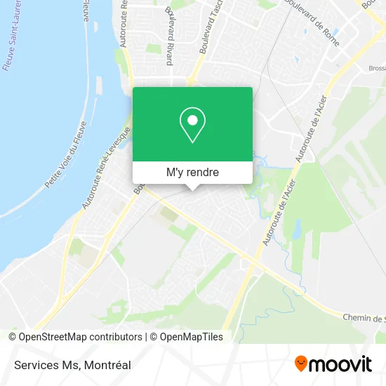 Services Ms plan