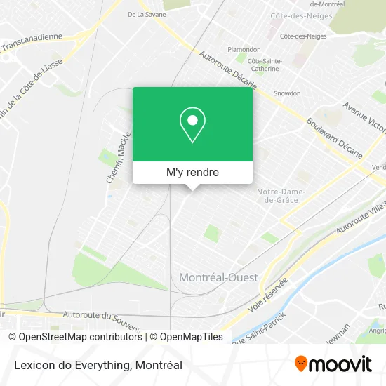 Lexicon do Everything plan