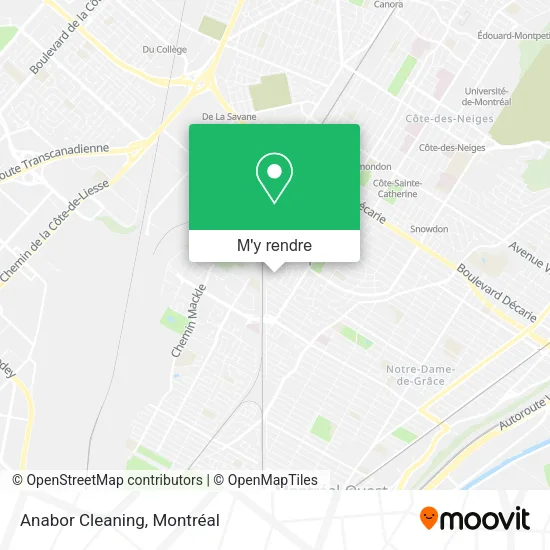 Anabor Cleaning plan