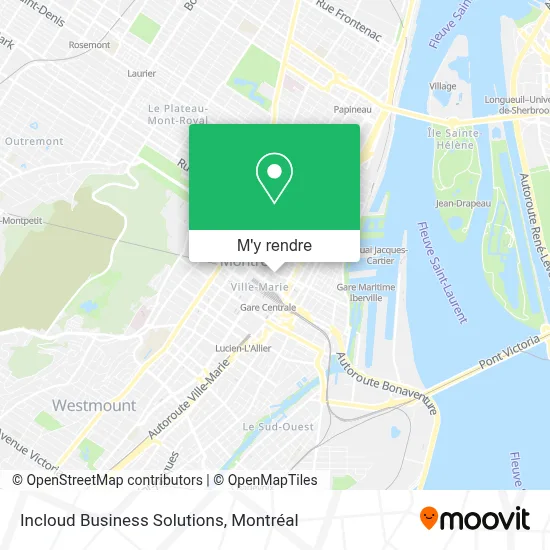 Incloud Business Solutions plan