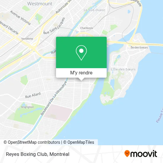 Reyes Boxing Club plan