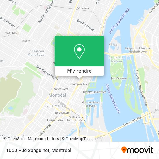 1050 Rue Sanguinet plan