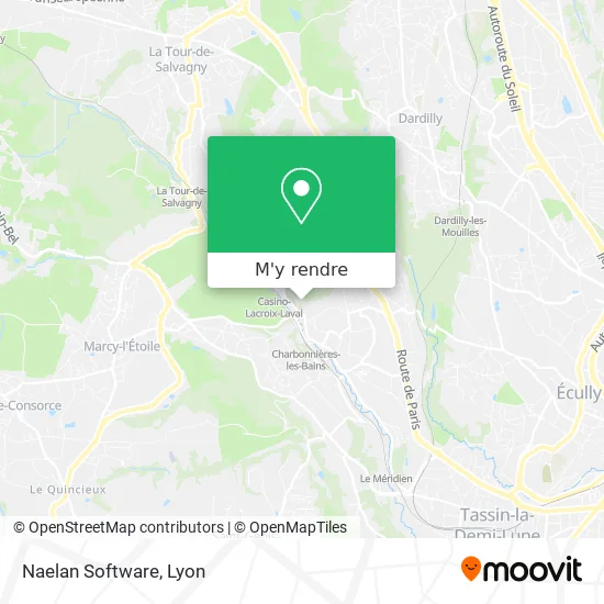 Naelan Software plan