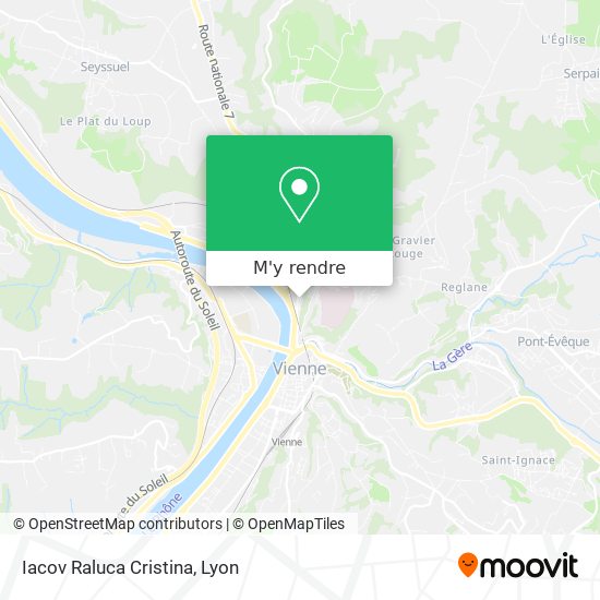 Iacov Raluca Cristina plan