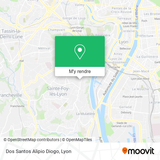 Dos Santos Alipio Diogo plan