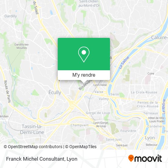 Franck Michel Consultant plan