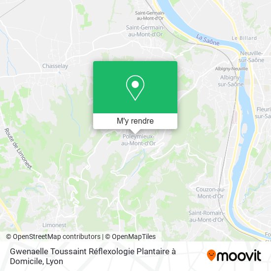 Gwenaelle Toussaint Réflexologie Plantaire à Domicile plan