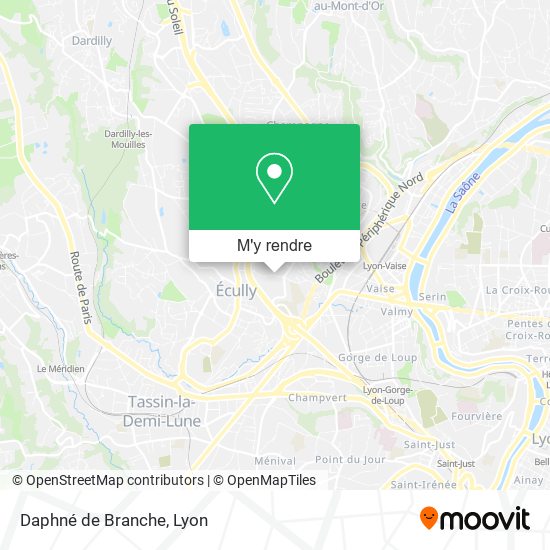Daphné de Branche plan