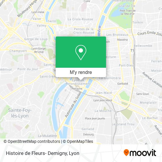 Histoire de Fleurs- Demigny plan
