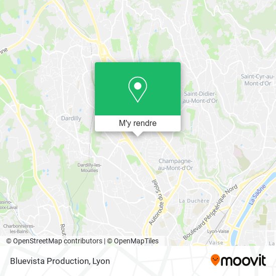 Bluevista Production plan