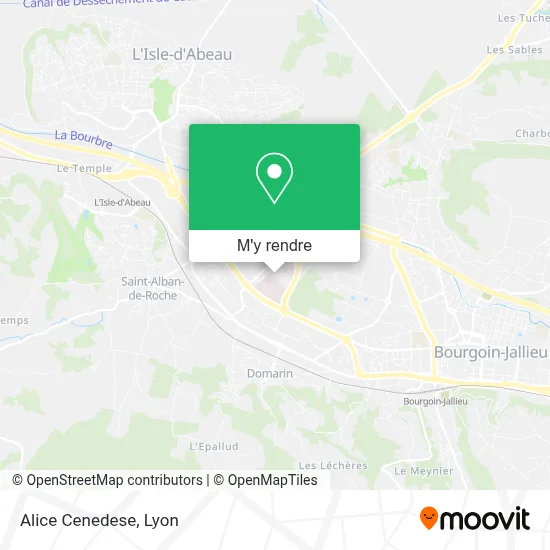 Alice Cenedese plan