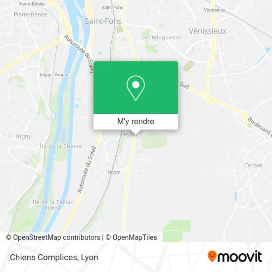 Chiens Complices plan