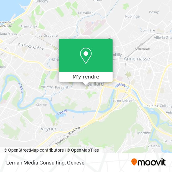 Leman Media Consulting plan