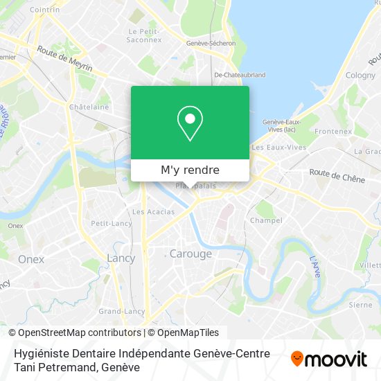 Hygiéniste Dentaire Indépendante Genève-Centre Tani Petremand plan