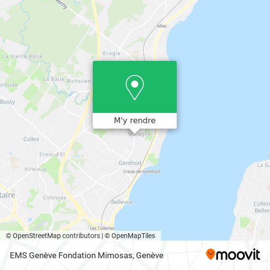 EMS Genève Fondation Mimosas plan