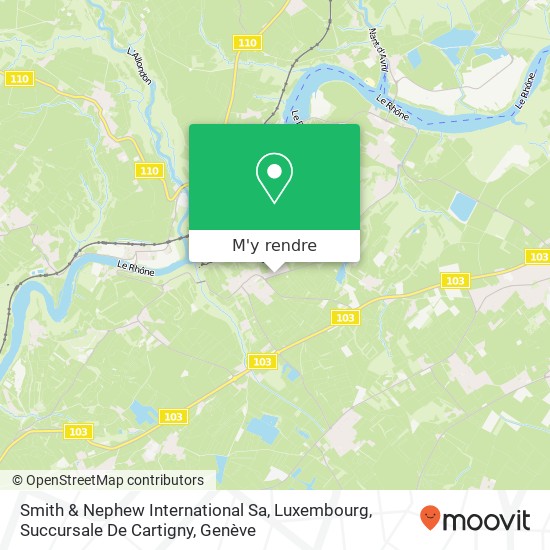 Smith & Nephew International Sa, Luxembourg, Succursale De Cartigny plan