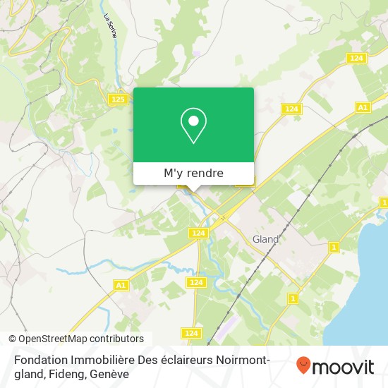 Fondation Immobilière Des éclaireurs Noirmont-gland, Fideng plan
