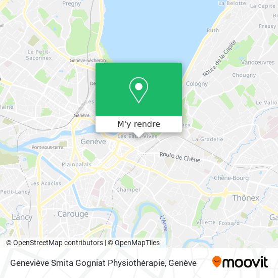 Geneviève Smita Gogniat Physiothérapie plan