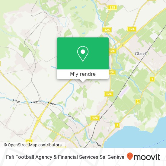 Fafi Football Agency & Financial Services Sa plan