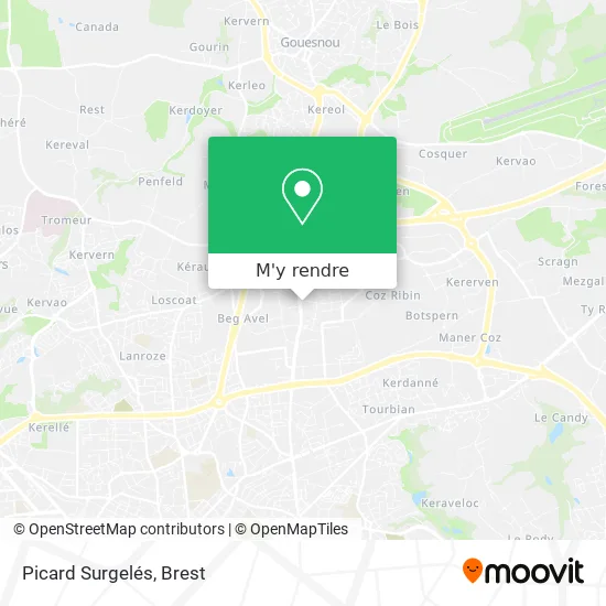 Picard Surgelés plan