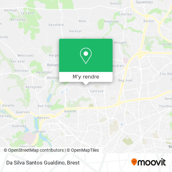 Da Silva Santos Gualdino plan