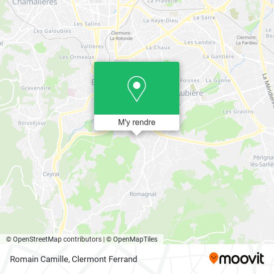 Romain Camille plan