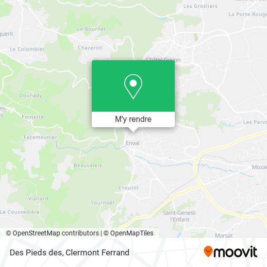 Des Pieds des plan