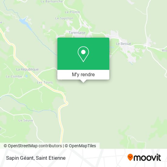 Sapin Géant plan