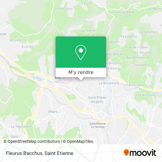 Fleurus Bacchus plan