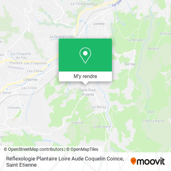Réflexologie Plantaire Loire Aude Coquelin Coince plan