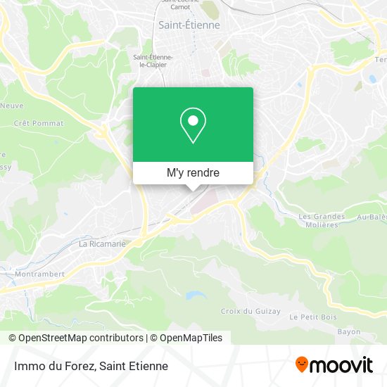 Immo du Forez plan