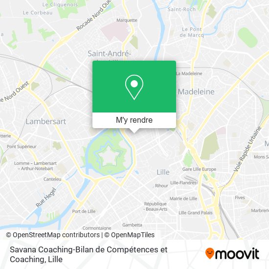 Savana Coaching-Bilan de Compétences et Coaching plan