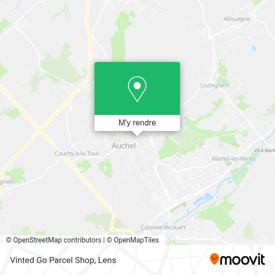 Vinted Go Parcel Shop plan
