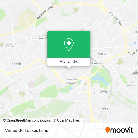 Vinted Go Locker plan