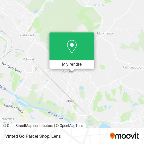 Vinted Go Parcel Shop plan