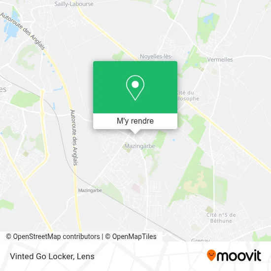 Vinted Go Locker plan