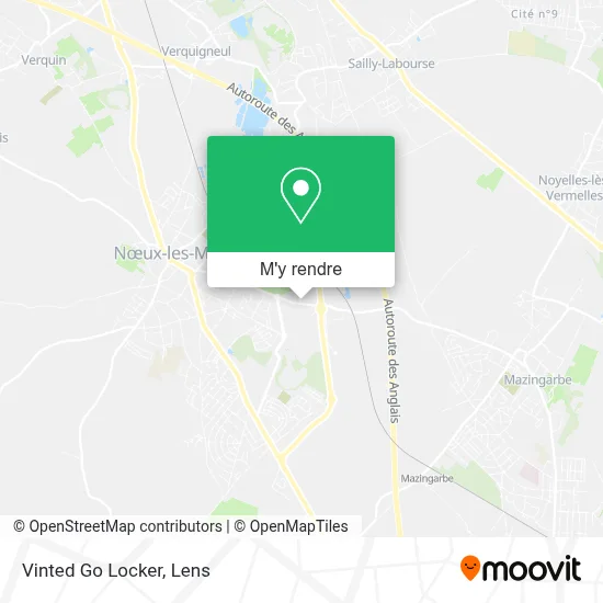 Vinted Go Locker plan
